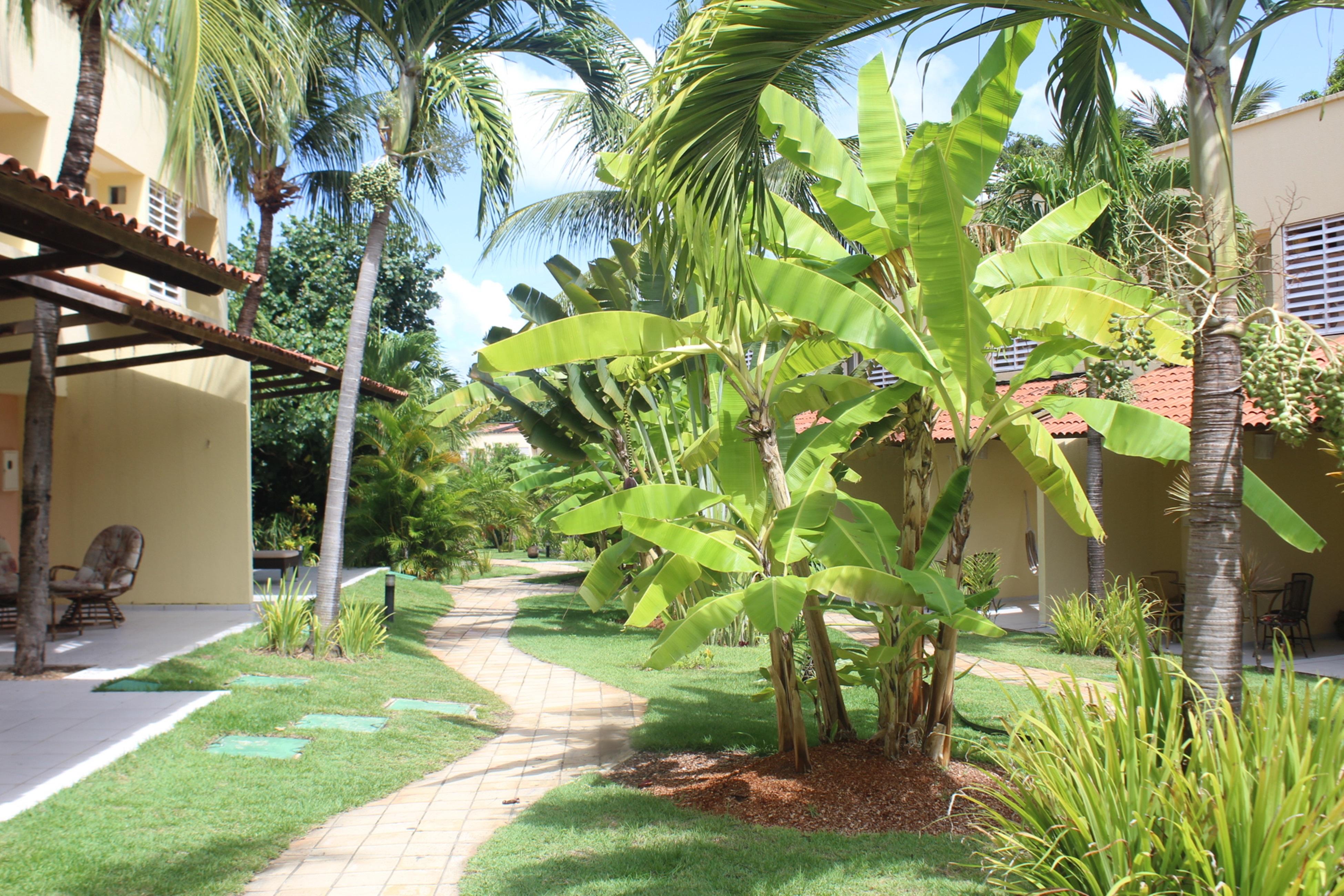 Hotel Pipa Atlantico Praia de Pipa Exterior foto
